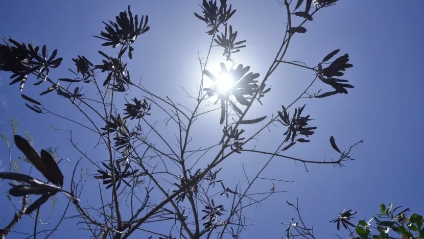  Decisão sobre horário de verão será nesta terça-feira