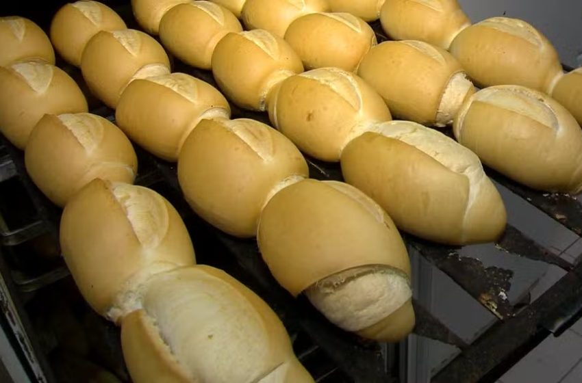  Venda incorreta de pão francês foi irregularidade mais encontrada em fiscalizações em 2024, diz Instituto de Pesos e Medidas do RN