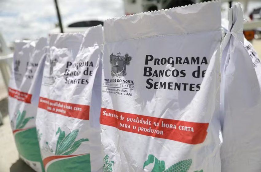  RN inicia distribuição de 650 toneladas de sementes para agricultores familiares do RN