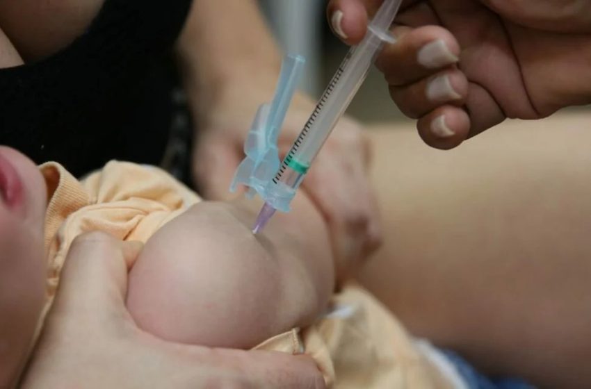 Campanha de vacinação contra a gripe começa nesta segunda-feira