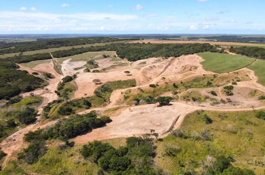 Ibama aplica quase R$ 2 milhões em multas por desmatamento na Mata Atlântica no RN