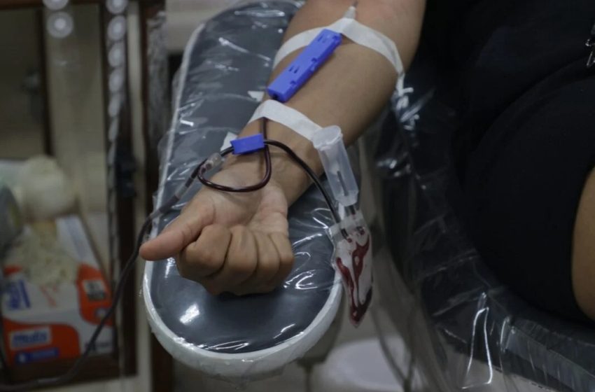 Hemonorte lança campanha de doação de sangue para o São João