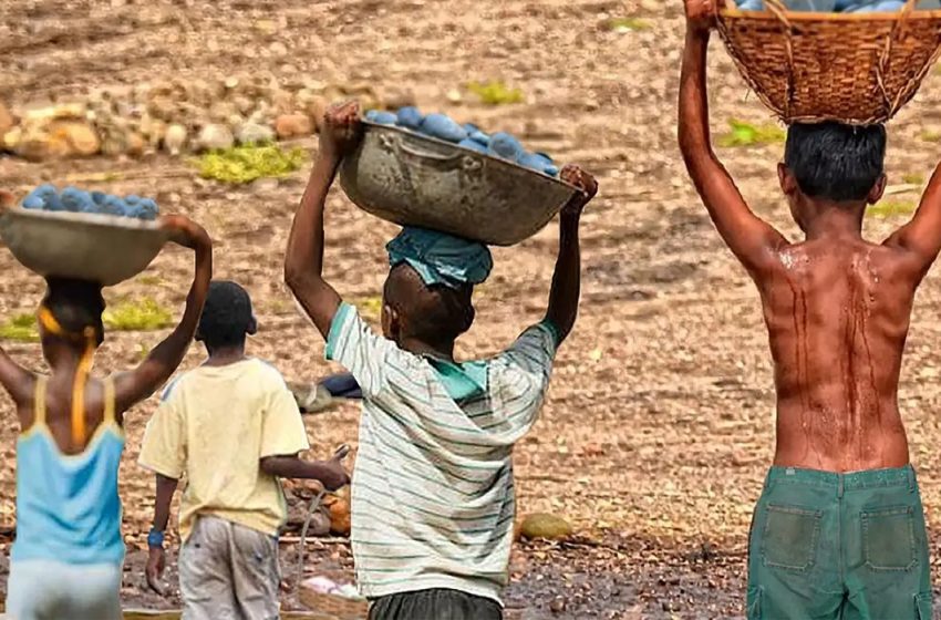 Mais de 6 mil crianças são resgatadas do trabalho infantil em 2 anos