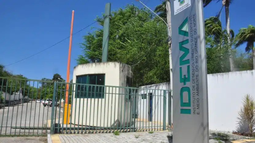 Idema abre 83 vagas de estágio para estudantes de nível superior no RN