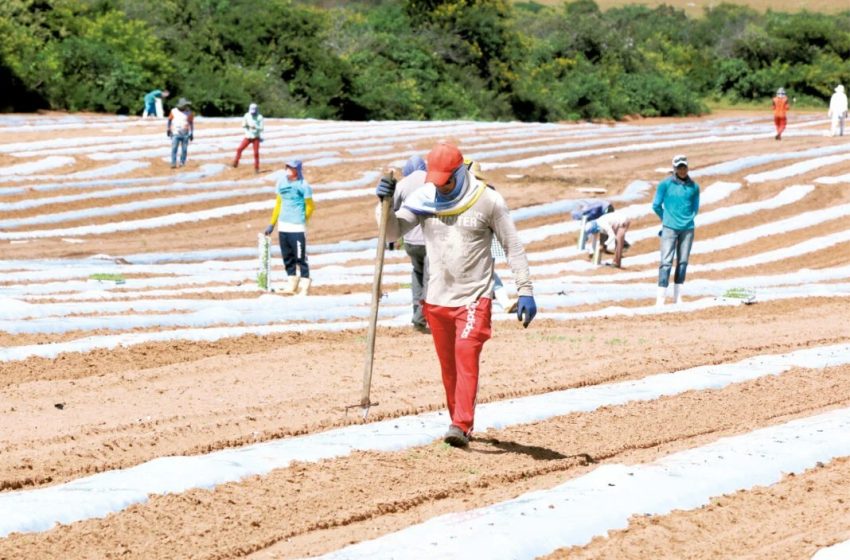 RN cria 1.763 empregos em junho, mas saldo semestral é quase 50% menor