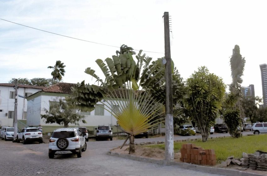  Comissão recomenda bloqueio de leitos no João Machado por desabastecimento