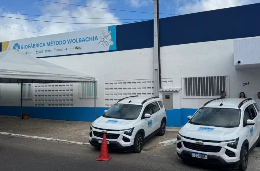  Fábrica de ‘mosquitos do bem’ inaugurada em Natal promete combate à dengue, zika e chikungunya