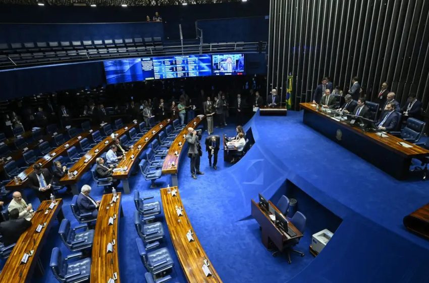  Senado aprova incentivo ao diagnóstico de autismo em adultos e idosos