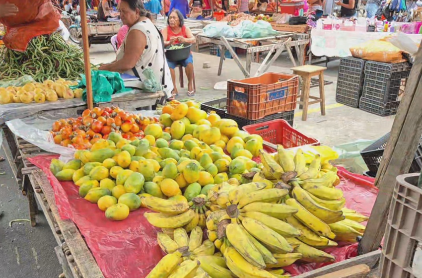  Feira Livre de Santa Cruz será antecipada na próxima semana devido feriado