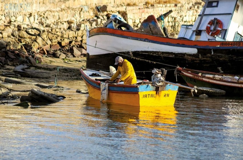  Governo cancelou cerca de 9 mil licenças de pescadores