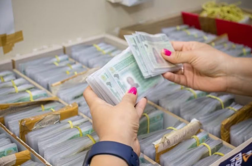  CNH renovada de graça: saiba o que é preciso para ser considerado como ‘bom condutor’