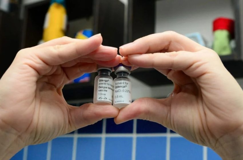  SUS vai vacinar profissionais de saúde contra dengue em fevereiro
