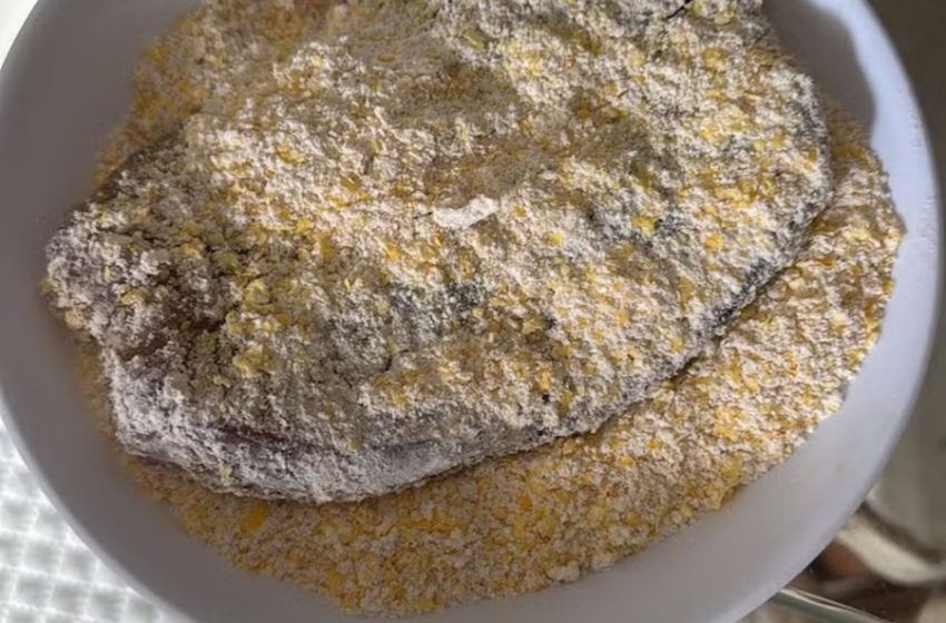  Ciguatera: cinco pessoas da mesma família passam mal após consumo de peixe em Natal