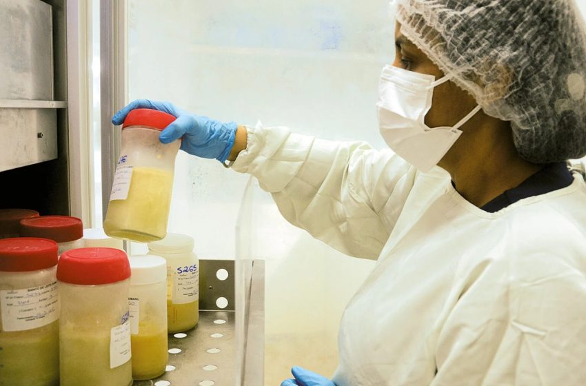  Maternidade Januário Cicco busca mais doadoras para banco de leite