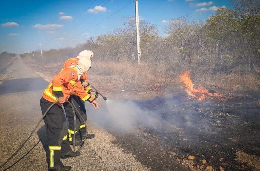  Bombeiros reforçam alerta após aumento incêndios em vegetação no interior do RN