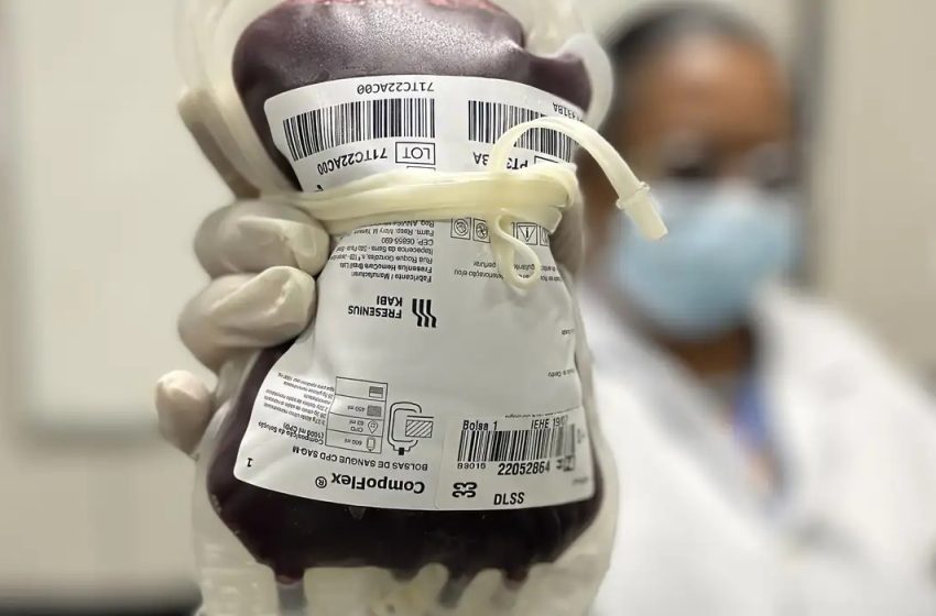  Lei cria Junho Vermelho para incentivar doação de sangue