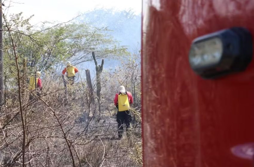  Incêndios em vegetação aumentam 21,4% no RN em 2026, aponta Corpo de Bombeiros